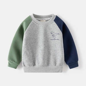 Detail of boys' sweatshirt featuring color-block sleeves and dinosaur line art print
