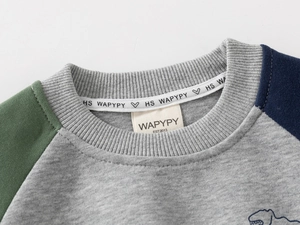 Detail of color-block neckline and soft knit texture on dinosaur print boys' sweatshirt