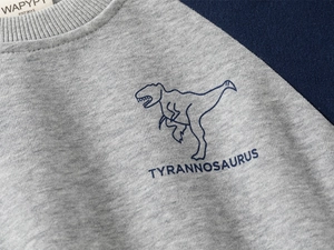 Detail of boys' dinosaur print sweatshirt showing grey knit fabric and navy contrast sleeves