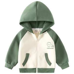 Kids color-block dinosaur hoodie in morandi green and cream with plesiosaur print
