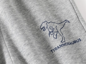 Macro view of grey knit fabric featuring a navy Tyrannosaurus line drawing and text