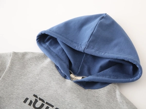 Detail of gray and blue hooded sweatshirt showing soft fleece texture and collar tag