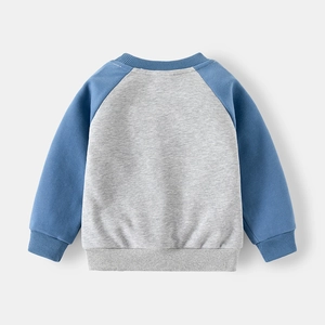 Detail of blue raglan sleeves and ribbed knit collar on the grey cotton sweatshirt
