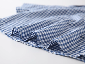 Detailed macro view of the blue and white gingham fabric texture and stitching on kids shirt