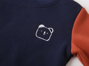 Detailed view of kids crewneck sweatshirt featuring bear embroidery and rib knit collar