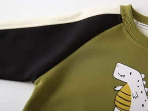 Detail of soft fleece lining and ribbed neckline on boys' dinosaur sweatshirt