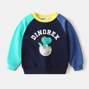 Détail du sweat-shirt dinosaure pour garçon avec manches raglan contrastées et col côtelé