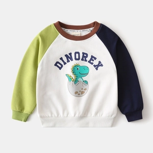 Détail d'un sweat pour bébé avec manches raglan colorées et imprimé dinosaure de dessin animé