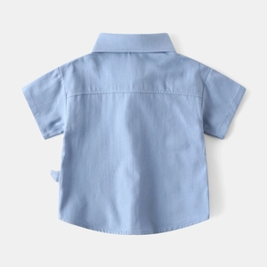 Vue détaillée du dos d'une chemise à manches courtes bleu clair en coton avec plis plats