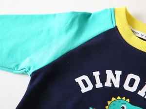 Détail d'un sweat-shirt pour garçons avec imprimé dinosaure et manches raglan contrastées