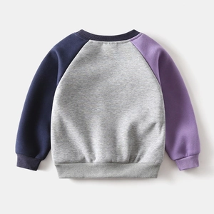Back view of a fleece toddler sweatshirt featuring trendy color-block sleeves in navy and purple