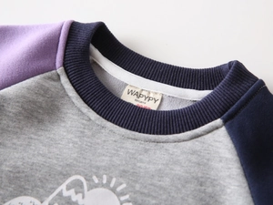 Detail of a thick fleece-lined sweatshirt showing the color-block neckline and print