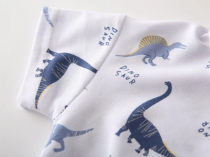 Detail shot of breathable honeycomb fabric and dinosaur print on children's polo shirt
