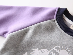 Detailed view of the ribbed crewneck and raglan sleeve stitching on kid's fleece sweatshirt