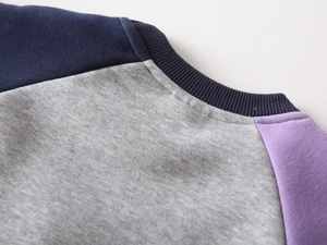 Detail of multi-color ribbed crewneck collar with premium stitching on fleece sweatshirt