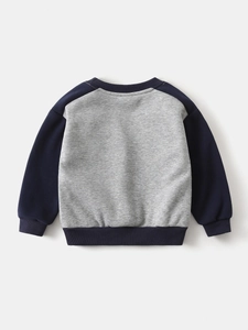 Sweat-shirt pour garçon en polaire avec manches contrastées gris et bleu marine