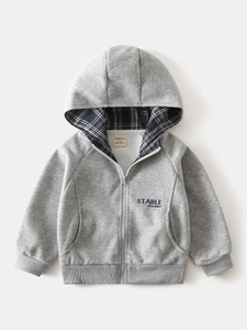 Grauer Jungen-Kapuzenpullover mit Reißverschluss, Karofutter und Stickerei vorne