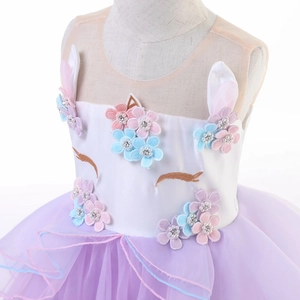 Detailansicht Einhorn Prinzessinnenkleid mit Blumenstickerei und Tüll-Rüschen