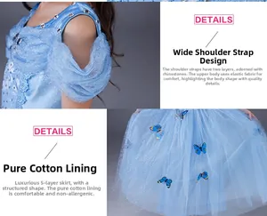 Detail of blue princess dress showing rhinestone straps and 5-layer tulle skirt with butterflies