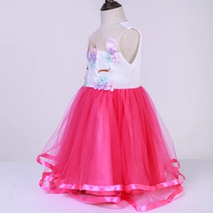 Girl's unicorn princess dress with multi-layer pink tulle and floral embroidery