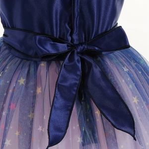 Détail du nœud en satin bleu et imprimé d'étoiles sur la jupe en tulle dégradé