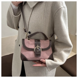 Detail of pink suede handbag with brown trim and large golden horseshoe buckle
