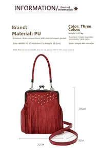 Detail view of burgundy fringed bag showing dimensions 20x20x5cm and metal rivets