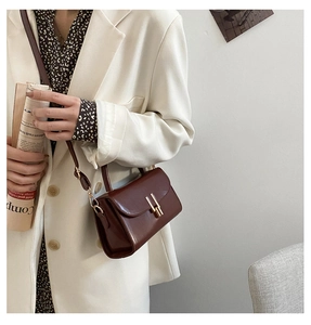 Detailed view of dark brown leather mini square bag with elegant gold clasp hardware
