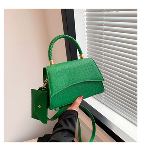 Détails du sac à main vert à motif crocodile avec poignée tressée et boucles dorées