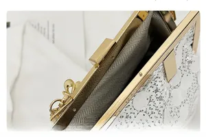 Close-up of white sequin clutch bag with gold metal frame and gray herringbone lining