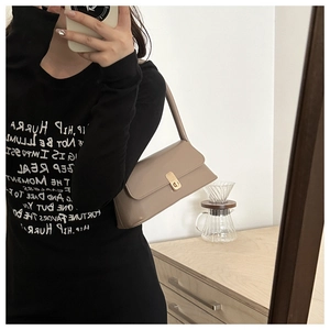 Detail of vintage baguette bag with gold metal clasp in a stylish home mirror selfie