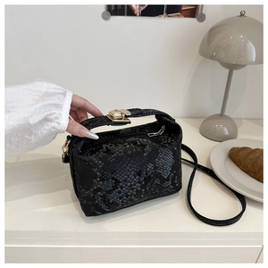 Close-up of black snakeskin pattern on square handbag with gold metal clasp detail