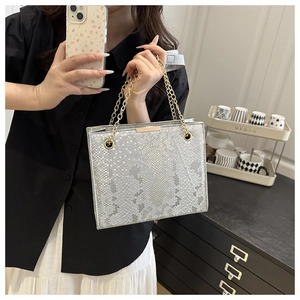 Detail of silver snake-pattern crossbody bag with gold chain handle and metallic trim