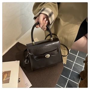Detail of a dark brown vintage handbag with gloss finish and golden metal twist lock