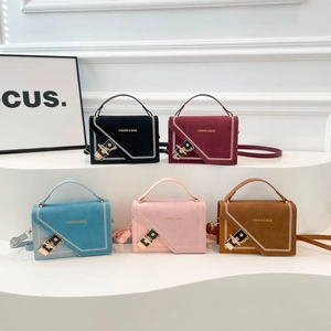 Minimalist crossbody chain bag in five colors featuring gold hardware and matte finish