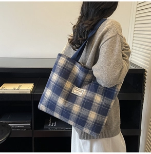 Blue and white plaid tote bag shown on shoulder with soft lighting and a scholarly vibe