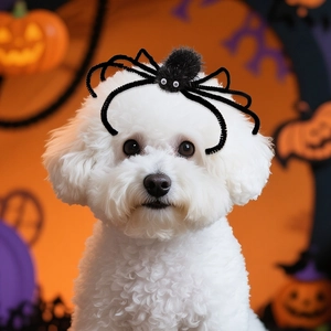 Halloween purple spider hair clip for pets on a white Bichon dog with a festive background