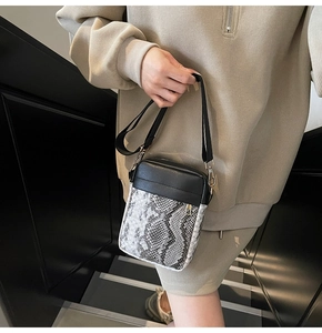 Close-up of stylish snakeskin pattern patchwork and chain strap on mini crossbody bag