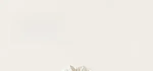 Detail of a white cotton girls dress featuring a refined collar and premium fabric texture