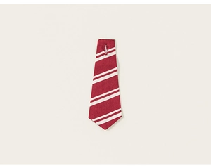 Détail de la cravate à rayures rouges et blanches de style collège pour uniforme