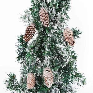 Details von natürlichen und weißen Tannenzapfen mit Silberschnüren an Weihnachtszweigen