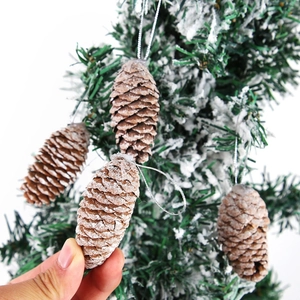 Nahaufnahme von vier natürlichen Zapfen mit weißen Schneespitzen an einem Weihnachtsbaumzweig