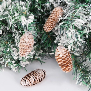 Nahaufnahme von natürlichen Zapfen mit Schneeeffekt an einem Weihnachtsbaumzweig hängend