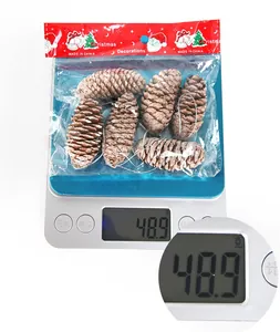 Detailansicht von 6 Natur-Zapfen auf einer Waage mit einem Gewicht von 48,9g