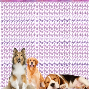 Close-up of pink and purple pet party curtain with dog paw shaped decorative beads