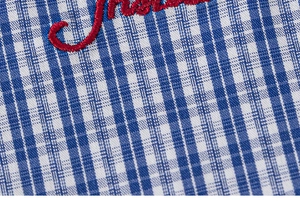 Macro shot of blue and white gingham cotton fabric with red floral embroidery detail