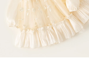 Detailed macro view of beige mesh tulle dress featuring delicate white floral embroidery