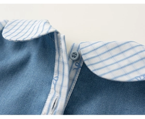 Detail of blue denim dress featuring a plaid Peter Pan collar and small blue button