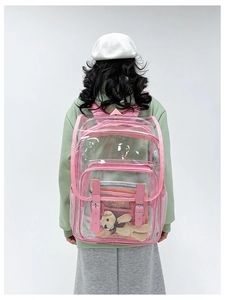 Detail of transparent PVC backpack with pink straps and double buckle front pocket