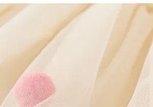 Vue macro détaillée du tissu en tulle beige doux orné de pompons colorés sur la robe